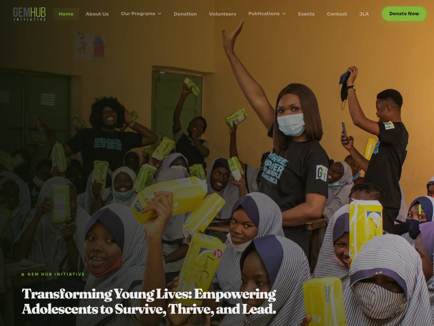 Gem Hub Initiative website homepage